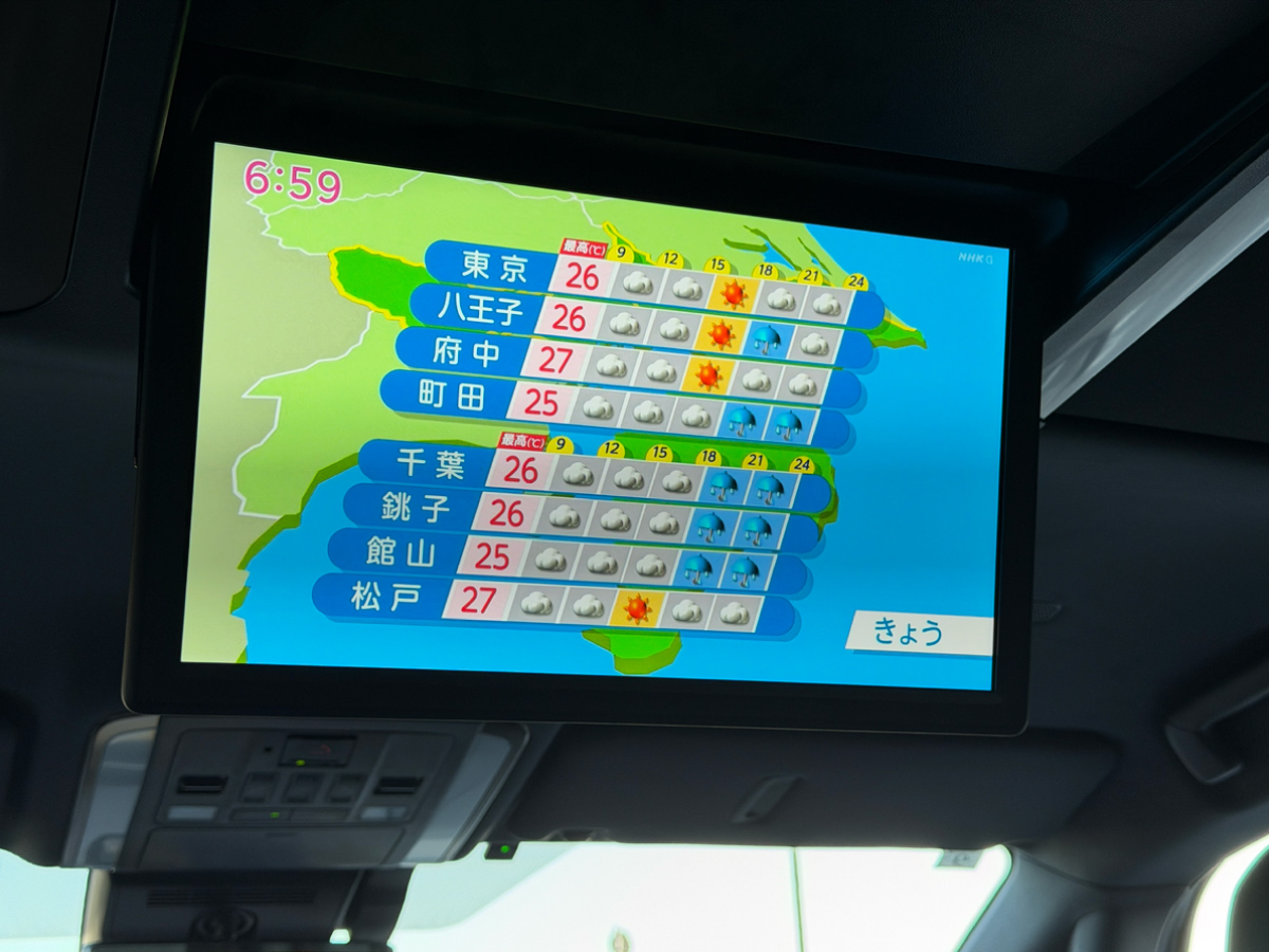 Large Overhead Monitor